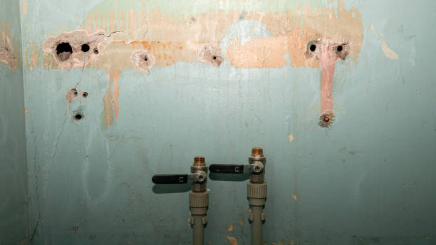  West Siloam Springs, OK Water damage restoration Pros